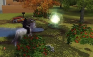 Unicorn died
