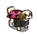 Love Bug Dog-icon