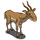 Saiga