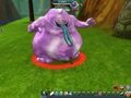 BuyonRaceMember(DBO)