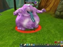 BuyonRaceMember(DBO)