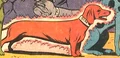 Hot Dog 001