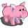Shivering Pig