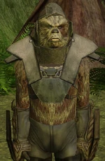Krepauk-SWG