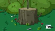 Stump