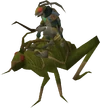 Locust rider