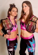 Ninjasbelts-1