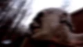 LitEW.png