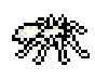 BrownRecluse