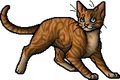 Thornclaw.apprentice