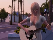 Guitar at Sunset