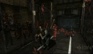 Wayne helps Ryder