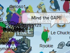 Rookie (8)