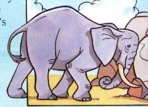 Leadelephant