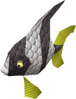 Angel Fish