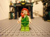 6860RevNCustoms 019