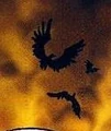 Ambrian Vulture.jpg