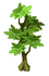 Astrub Ash