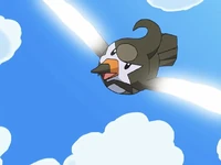Ash Staravia Wing Attack