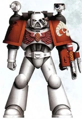 Almoner Apothecary Karsweltus
