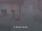 Doghead