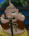 ElderMajin(DBO)