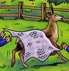 TheAfricanDeer