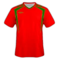 Lions New1.png