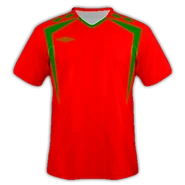 Lions New1