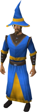 Wizard robes (g) equipped