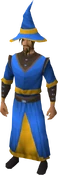 Wizard robes (g) equipped