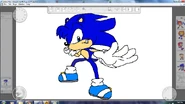 Anthony the Hedgehog Redsign By Metal