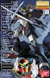 Mg-spiegel