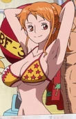 Nami en Punk Hazard.png