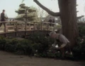 Boothby planting.jpg