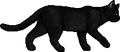 Crowfeather.loner