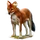 Item dhole 01