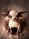 Mrs Crazy by Santani
