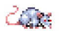 AlbinoRat.png