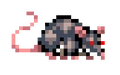 PlagueRat.png