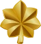 60px-US-O4 insignia.svg