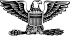 70px-US-O6 insignia.svg