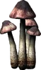 BleedingCrownRender