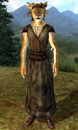Ashni.png