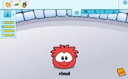 Red puffle state