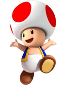 SM3DL2 Toad