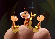 50205