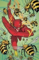 Flash Wally West 0036