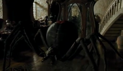 Spider