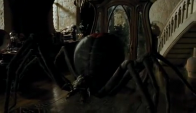 Spider